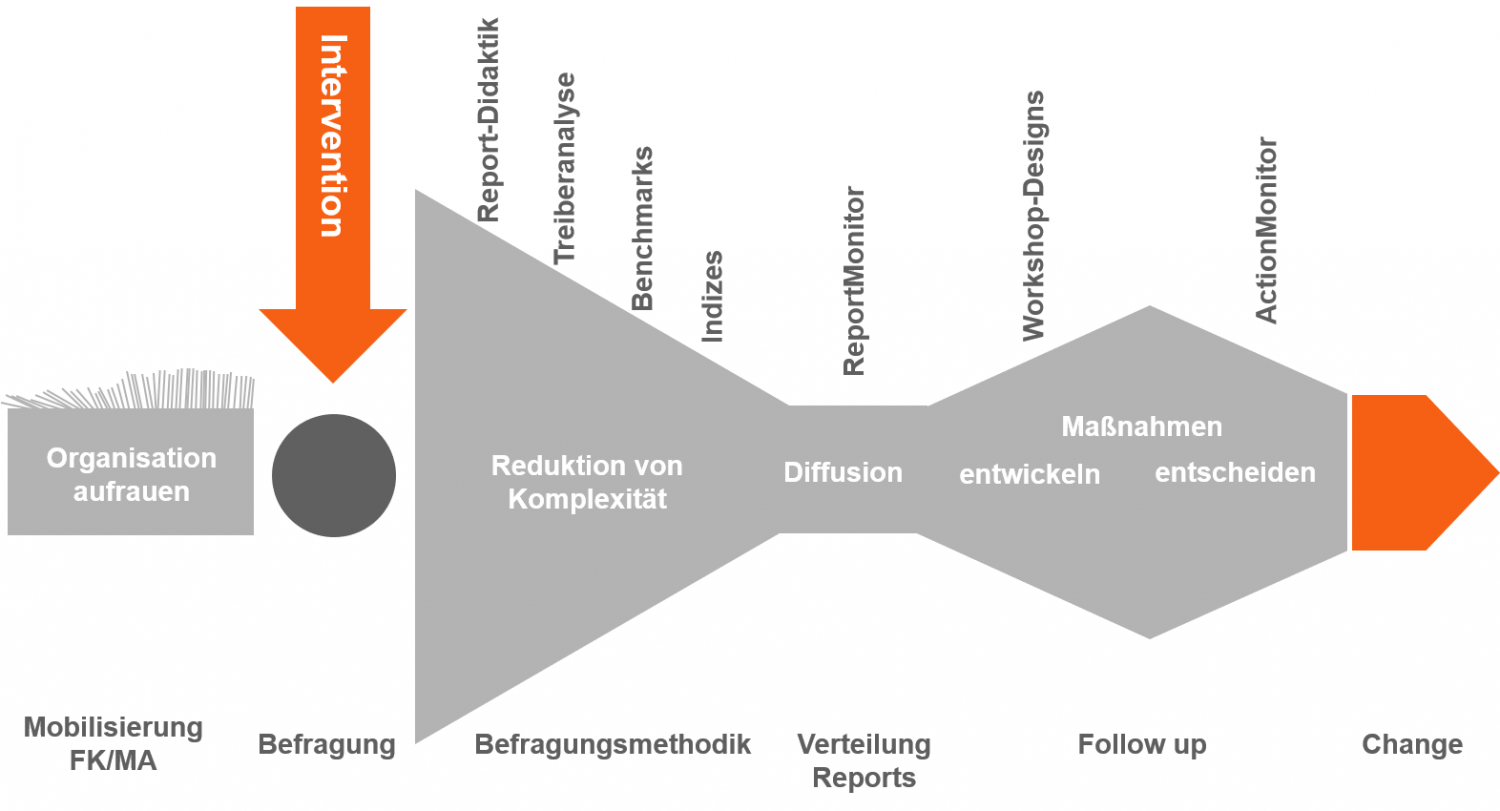 Wirksamkeit Prozess Befragung Pluswert